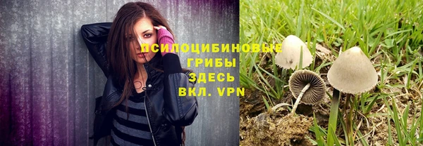 дурь Переславль-Залесский