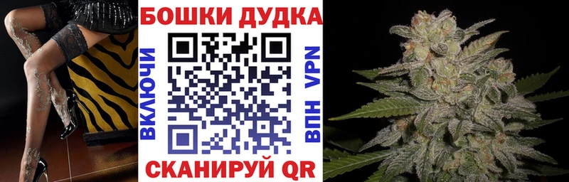 Купить где  Костомукша  Канабис гибрид 